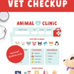 Free printable pretend play vet patient forms pin.